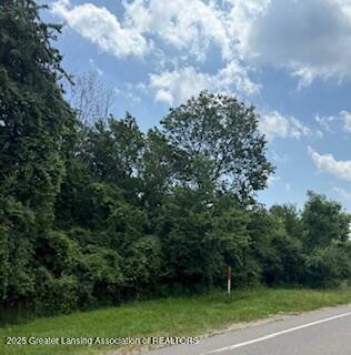 Property Photo: 0 Eager Road MI 48855