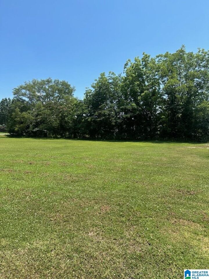 Property Photo:  0 County Road 437 0  AL 35057 