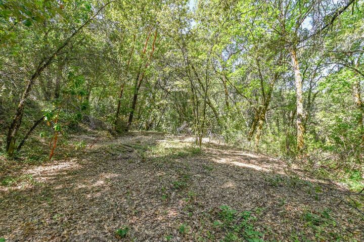 Property Photo:  13671 Ridge Court  CA 95685 