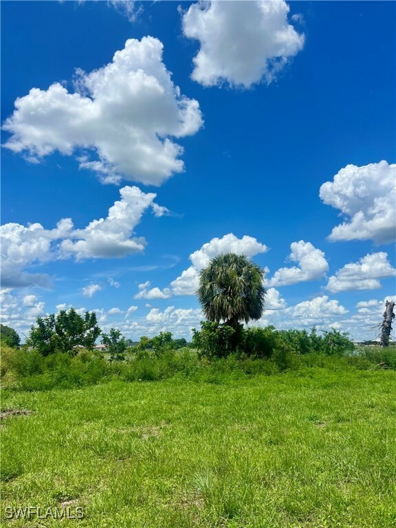 Property Photo: 319 NW 11th Terrace FL 33993