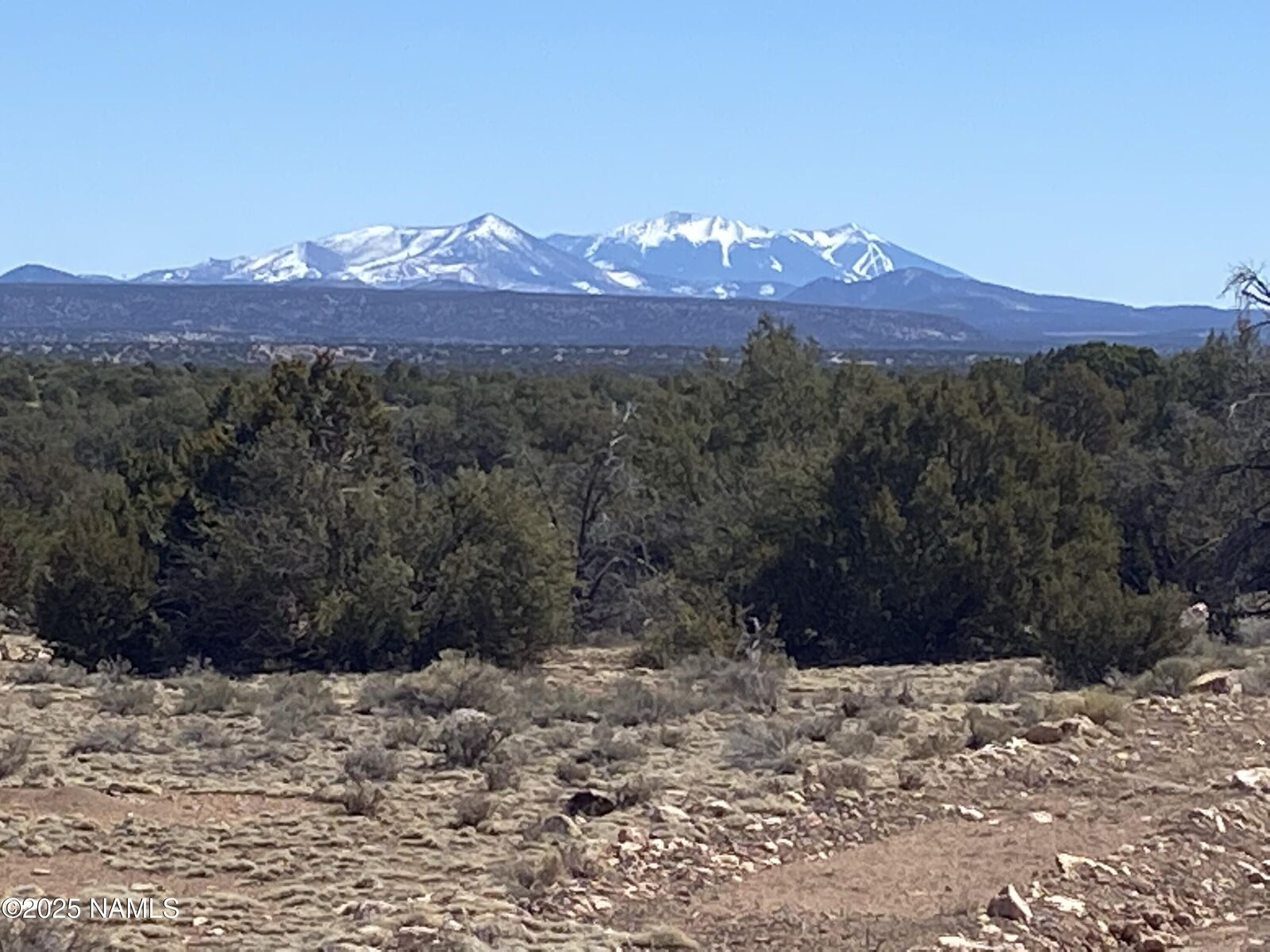 Property Photo:  9696 Mineral Wells Road  AZ 86046 