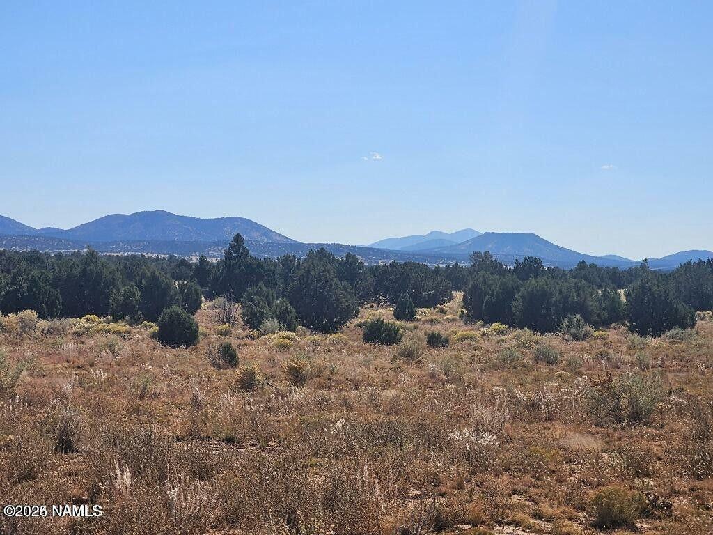 Property Photo:  4378 Lasso Loop  AZ 86046 
