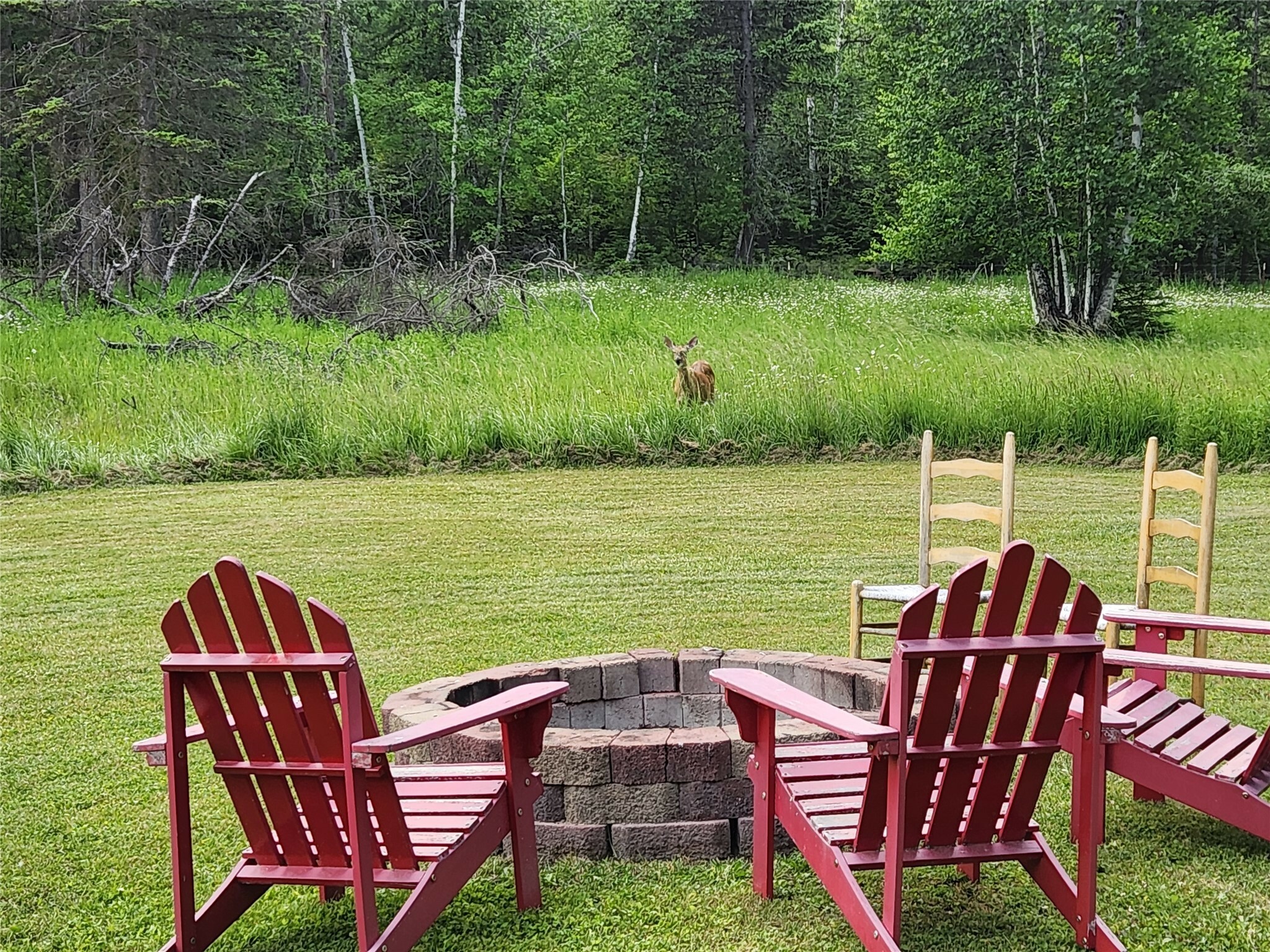 Property Photo: 1970 Benchmark Lane MT 59937