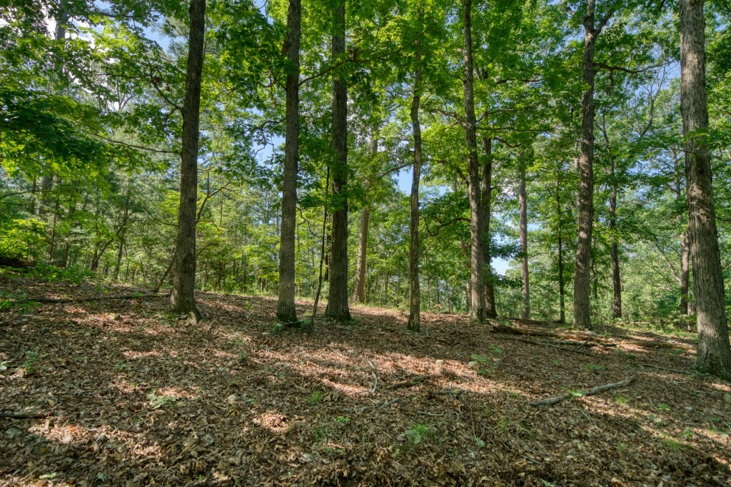 Property Photo: Windsong Lane AR 72631