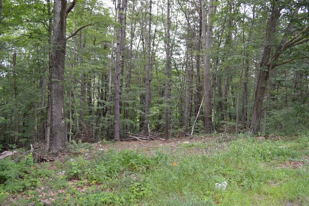 Property Photo: Lot 1 Sandersdale Rd MA 01507
