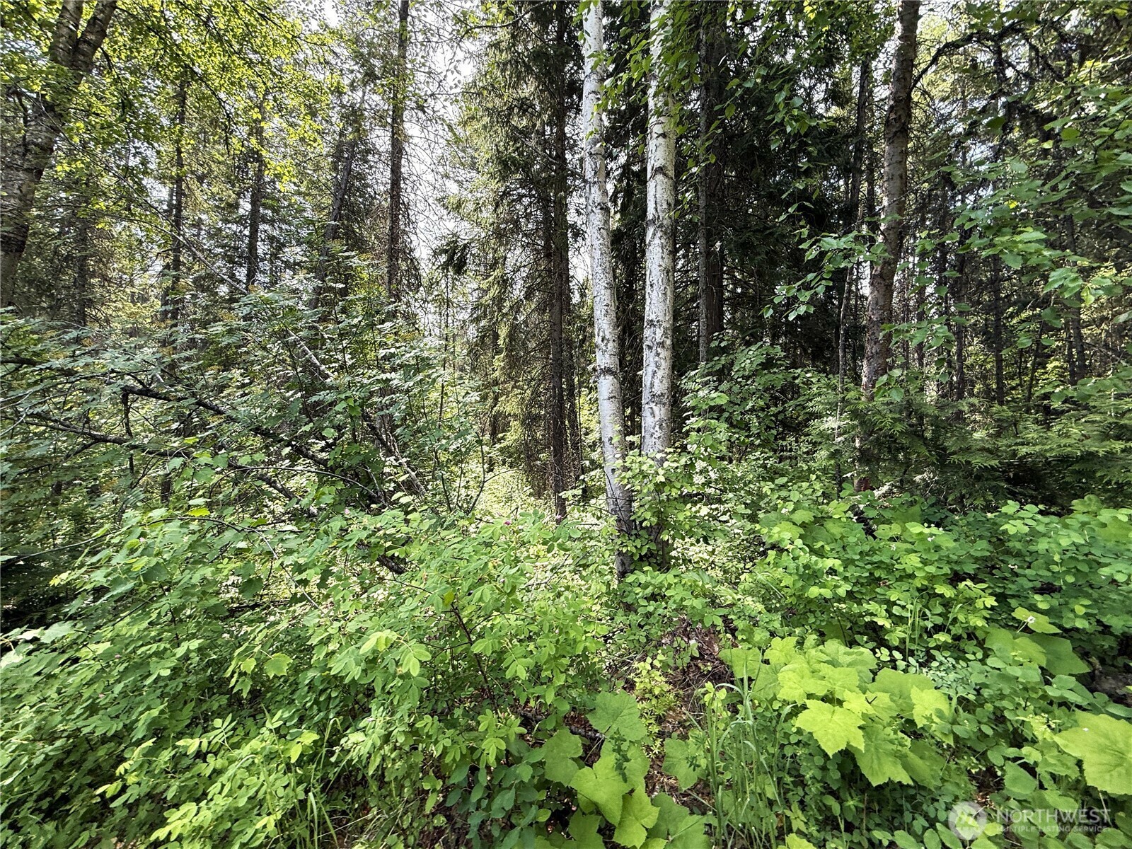 Property Photo:  0 Lot 2  Rockabye Lane  WA 99118 