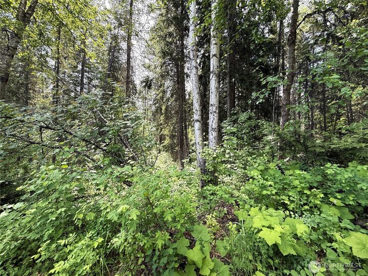 Property Photo:  0 Lot 2  Rockabye Lane  WA 99118 