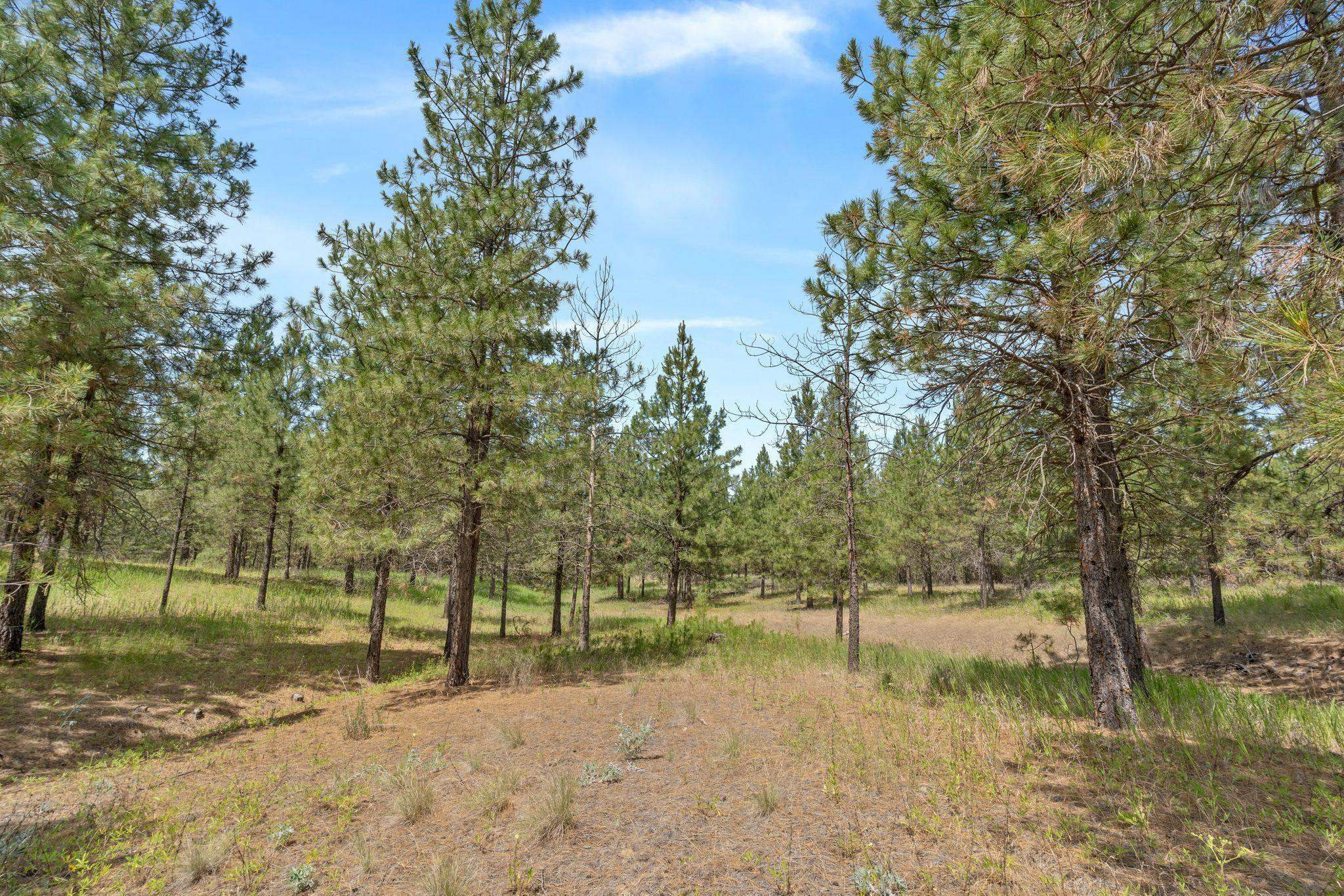 Property Photo: 5285 Hwy 231, #D Hwy WA 99013