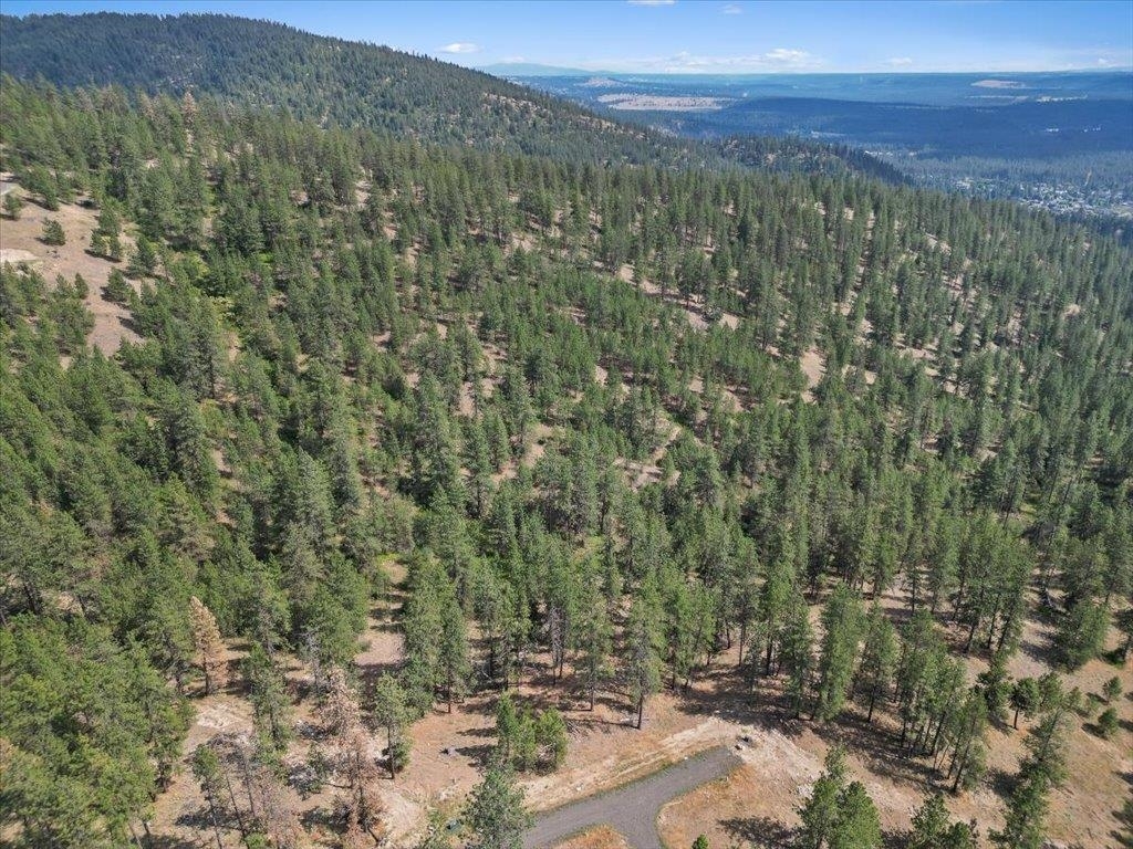 Property Photo: Nka Weaver Way Lot 2 Of Lot 7 WA 99006