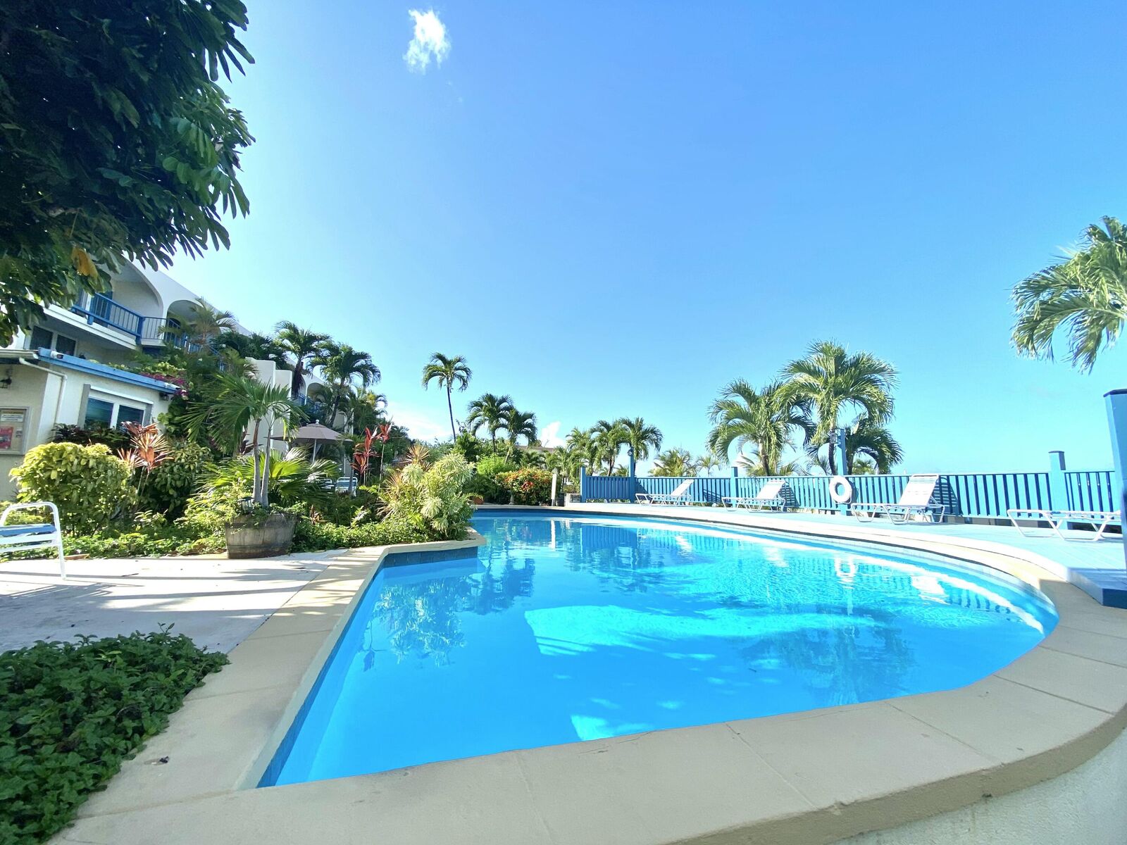 Property Photo: 65 Orange Grove Co VI 00820