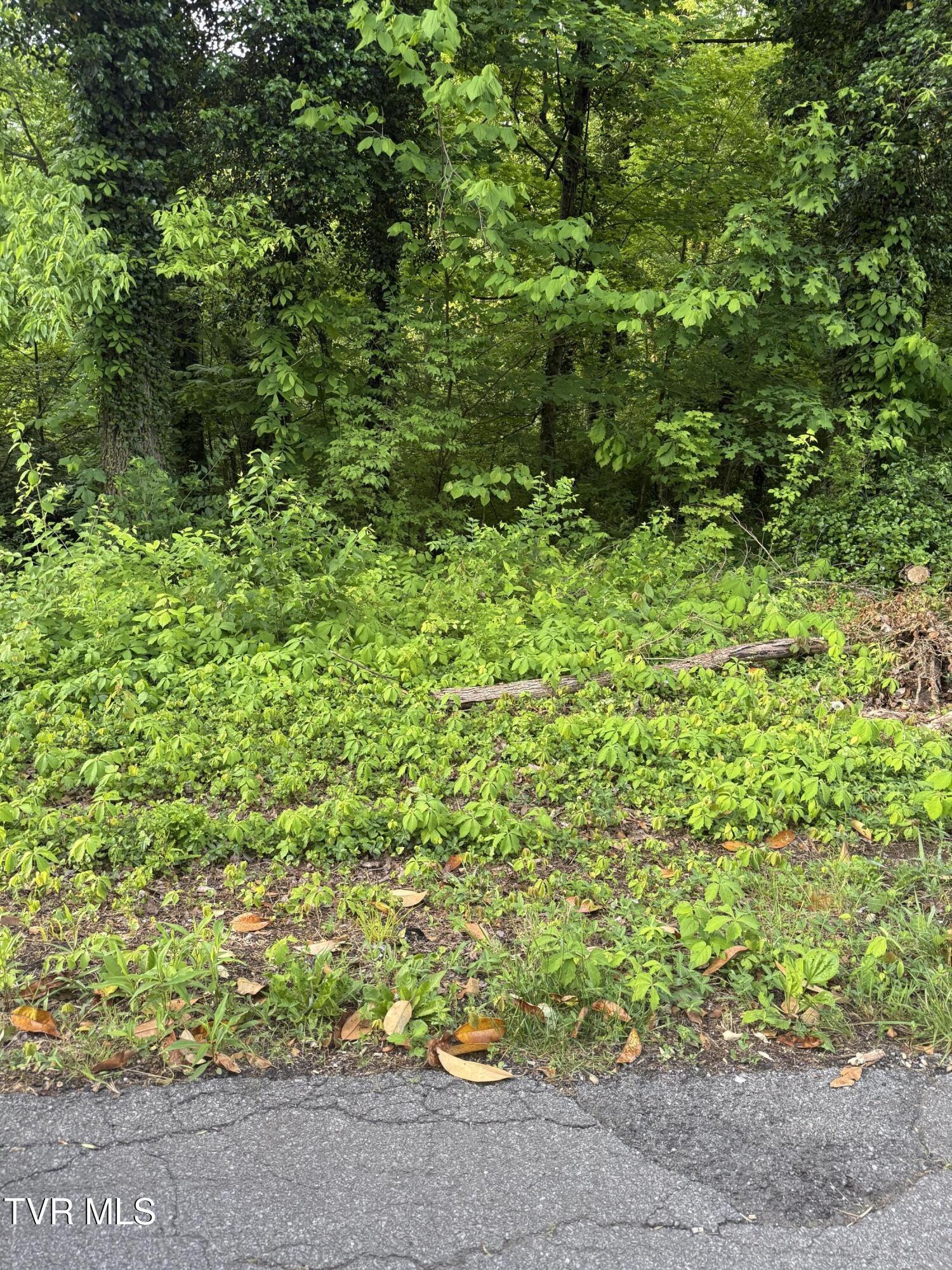 Property Photo:  Lot 15 Ashley Street  TN 37664 