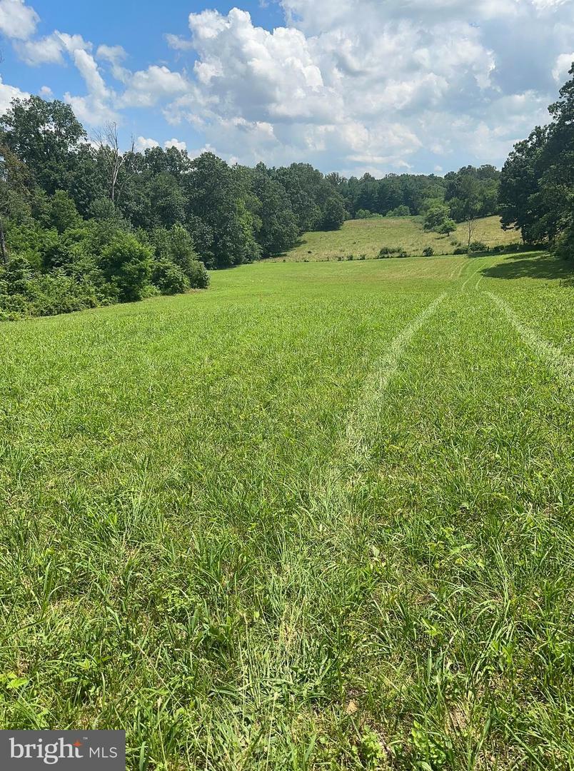 Property Photo: Lot B 4661 Middle Road VA 22602