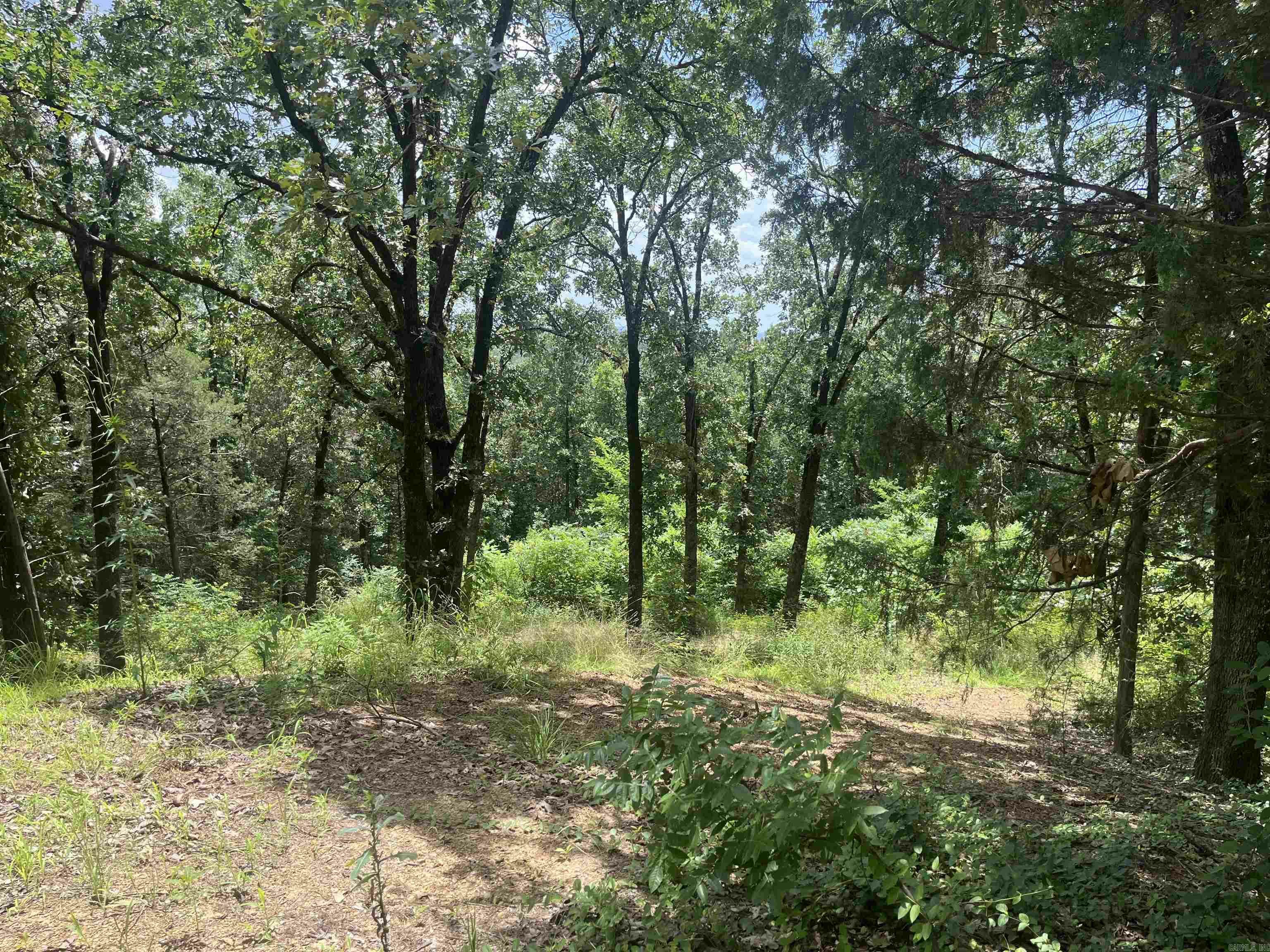 Property Photo: