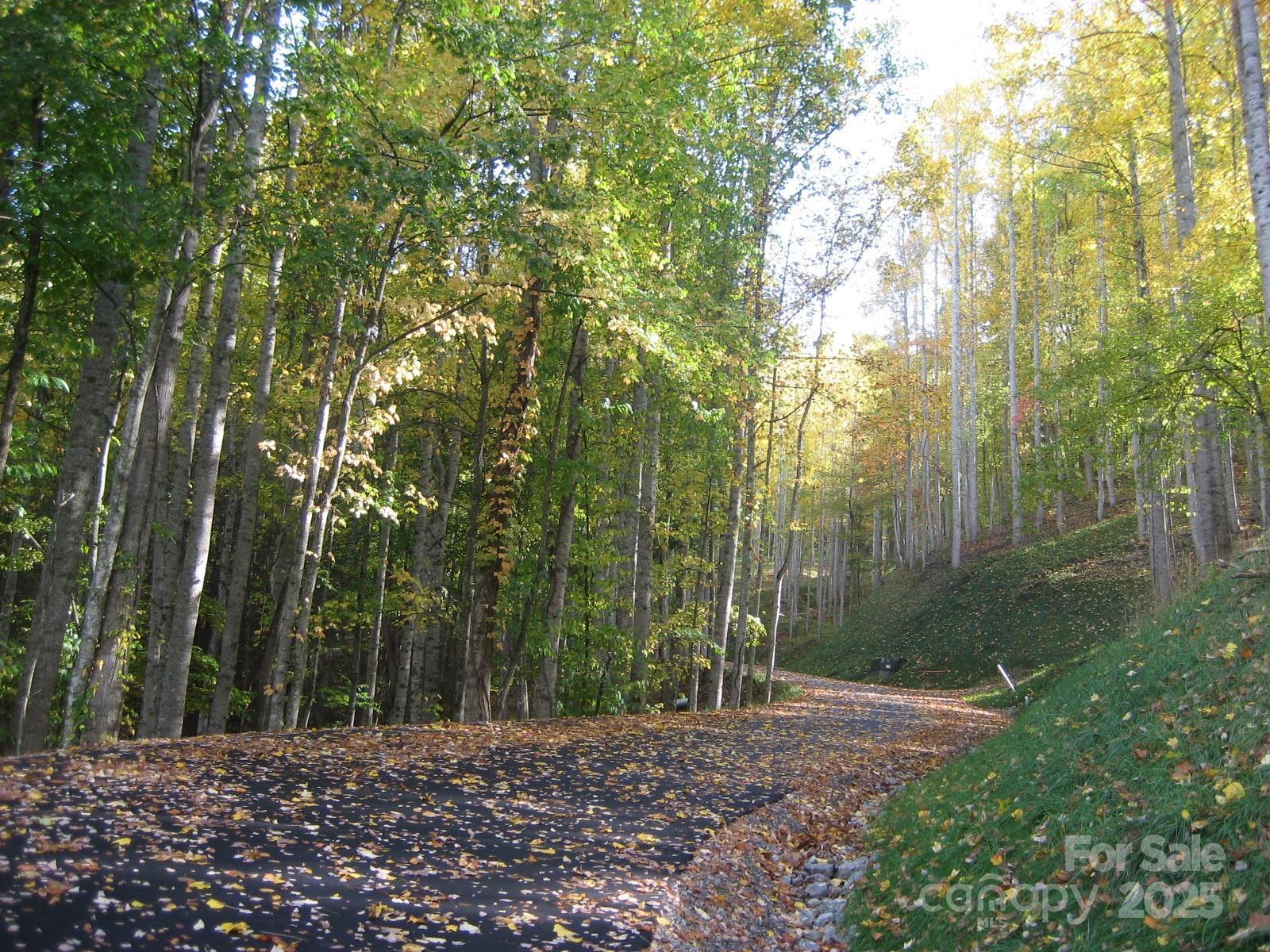 Property Photo: 11 Katua Trail NC 28751