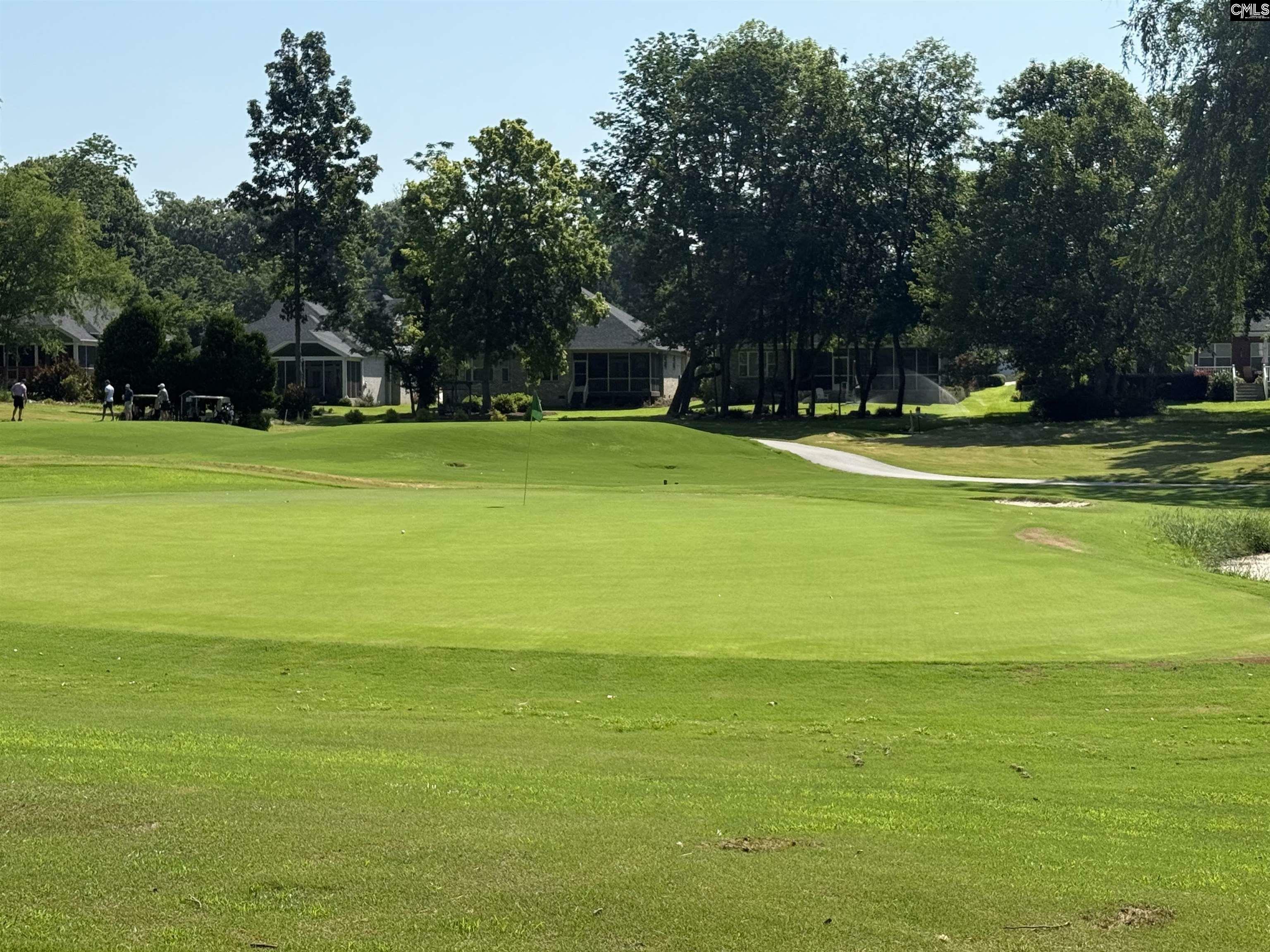Property Photo: 108 Oak Trace Ct SC 29036