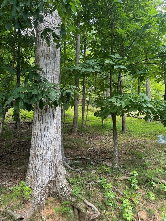 Property Photo: 830 N Duffer Drive GA 30143
