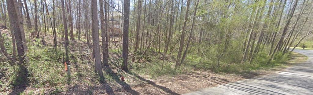 Property Photo: 0 Cambridge Lane GA 30110