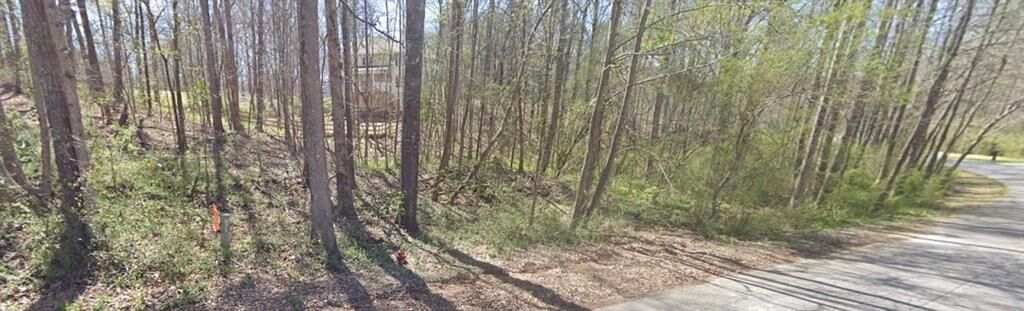 Property Photo: 0 Cambridge Lane GA 30110