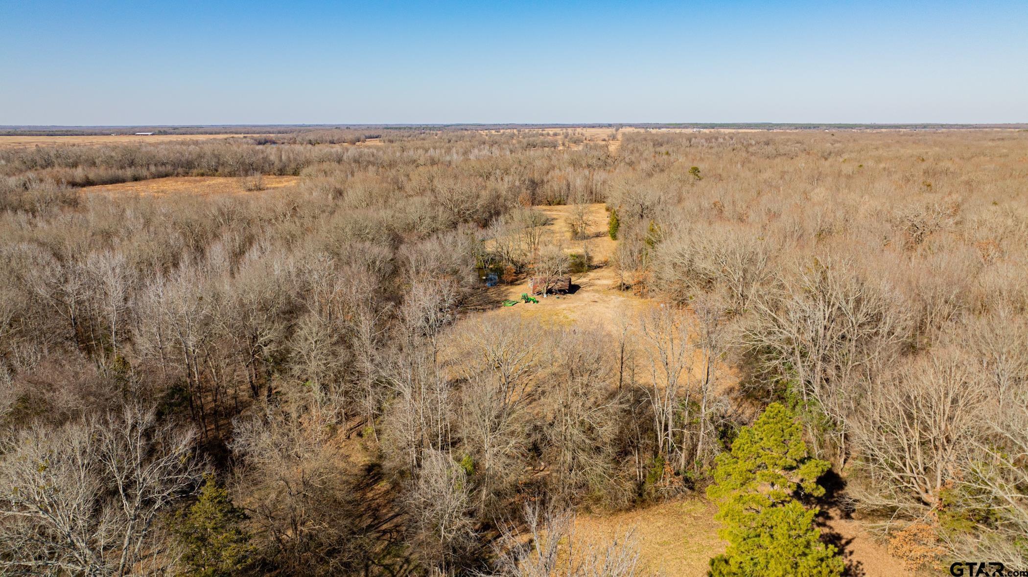Property Photo: Tbd Cr 4650 TX 75559