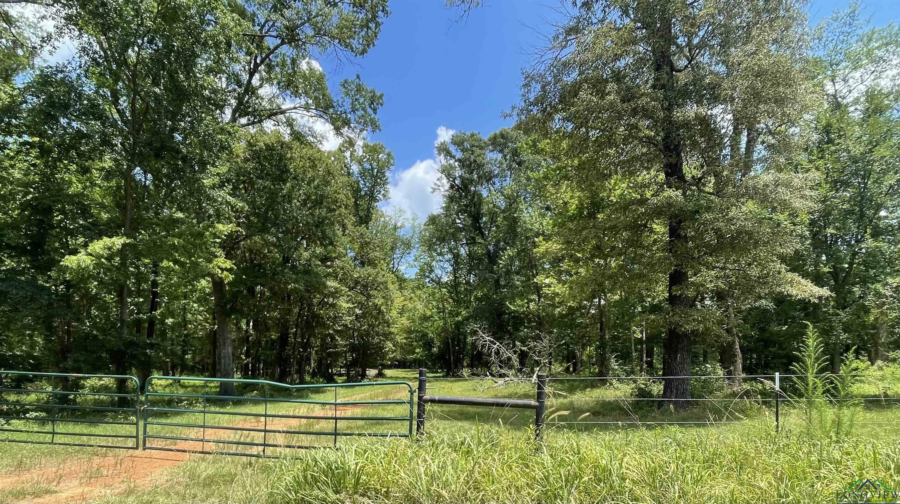 Property Photo:  Tbd Blackjack Road  TX 75672 