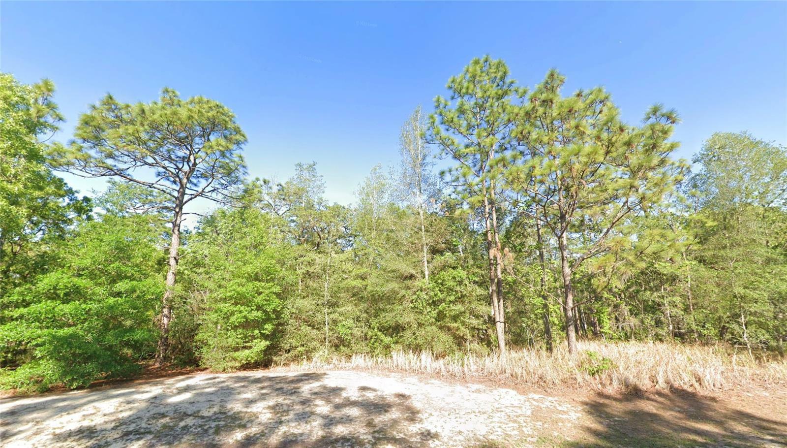 Property Photo: 3916 N Buckwheat Point FL 34465