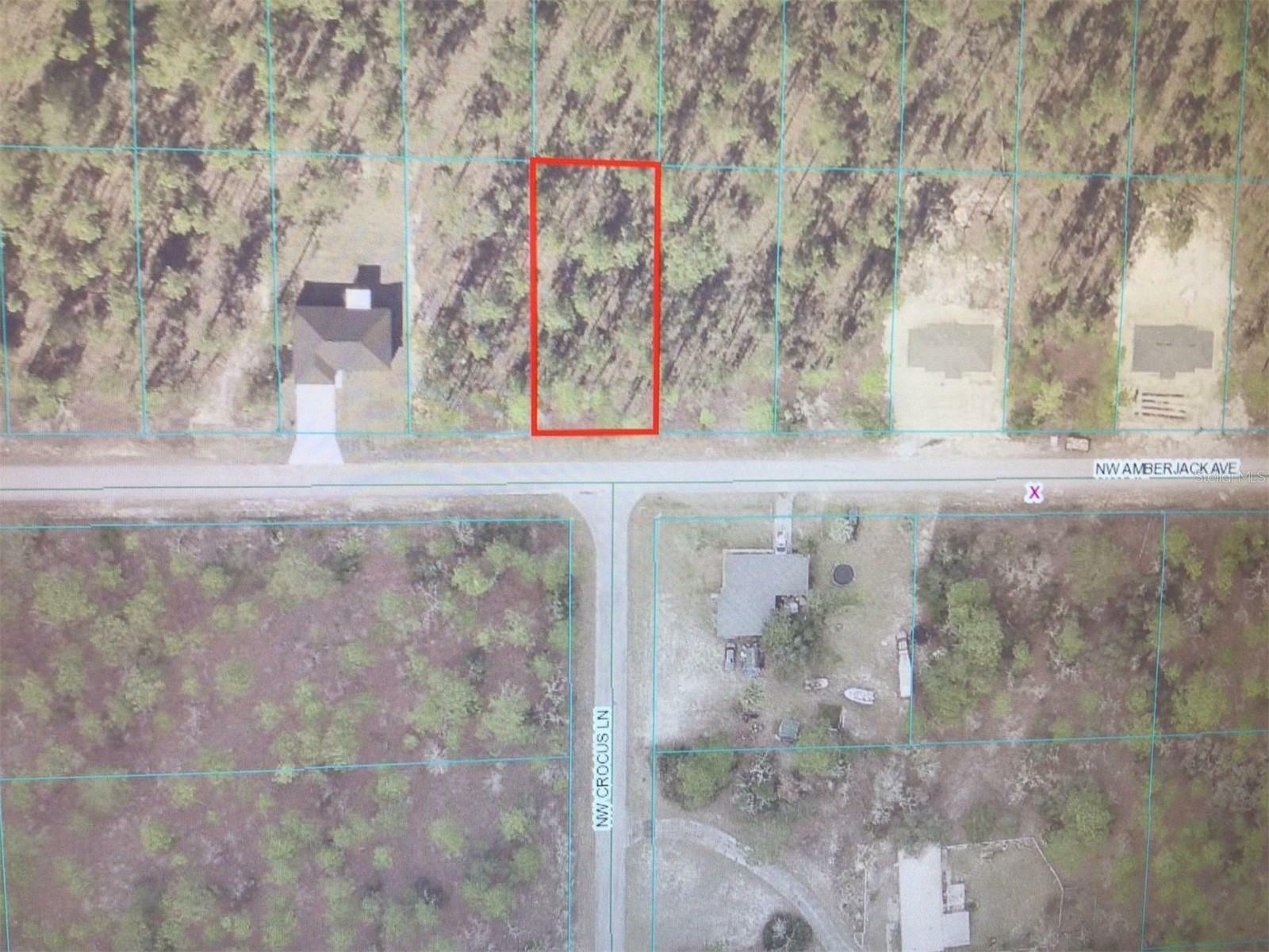 Property Photo:  0 NW Amberjack Avenue  FL 34431 