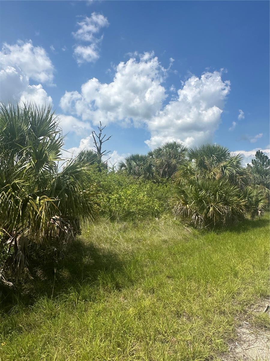 Property Photo: Fritz Avenue FL 34288