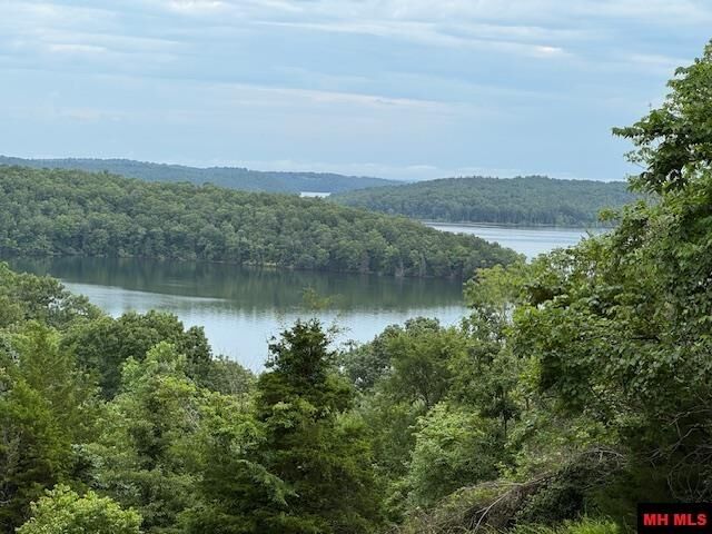 Property Photo: Lot 2 Hwy 342 AR 72653