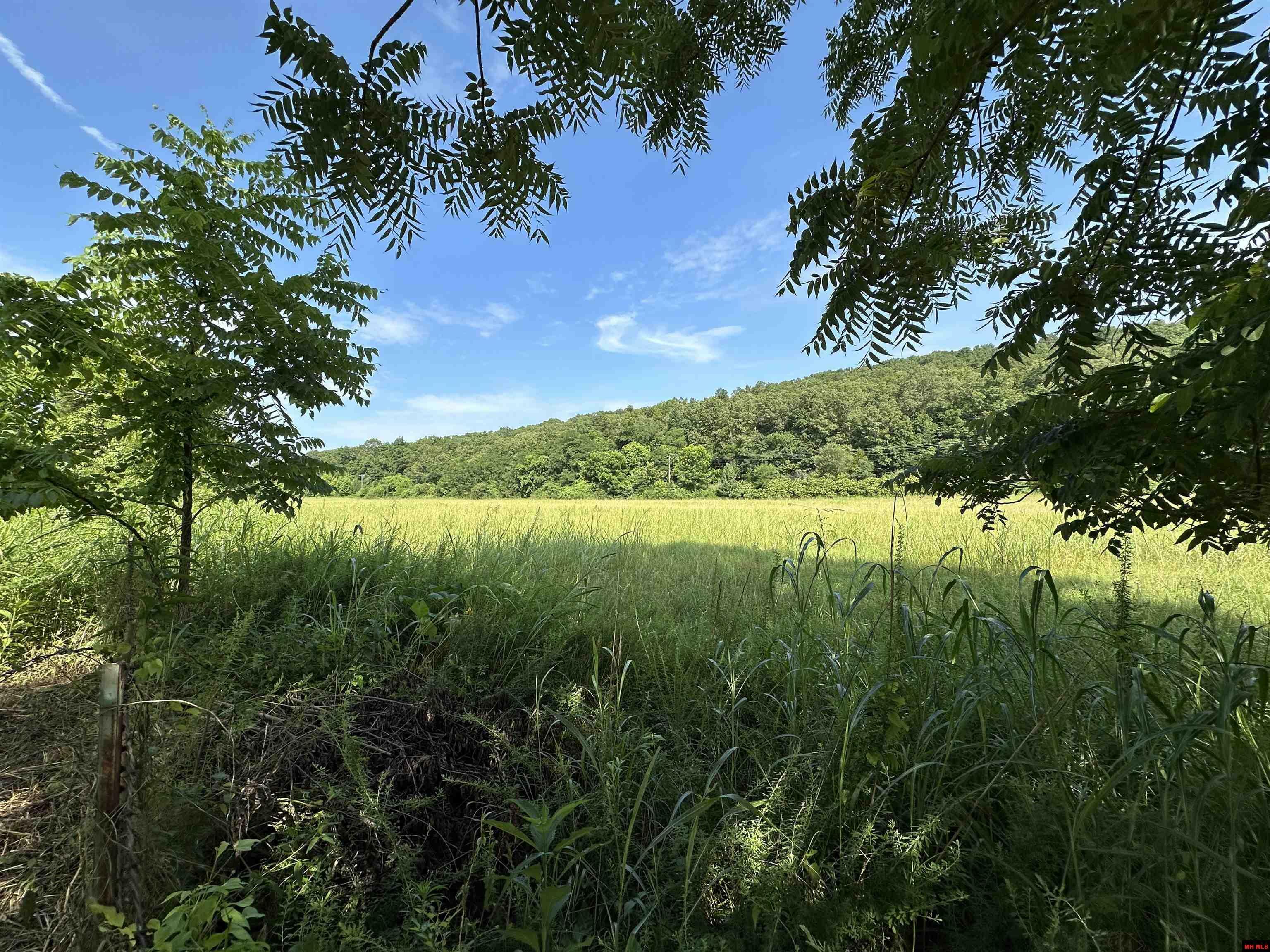 Property Photo: 001-09972-000 Denton Ferry Road AR 72626