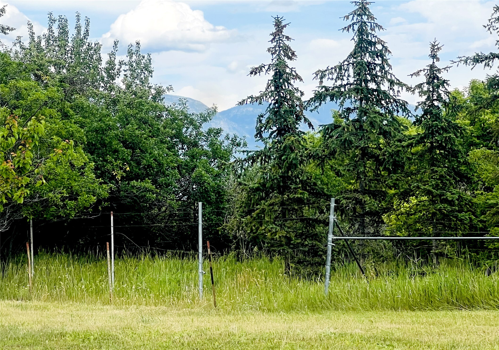Property Photo: 847 E Washington Street MT 59901