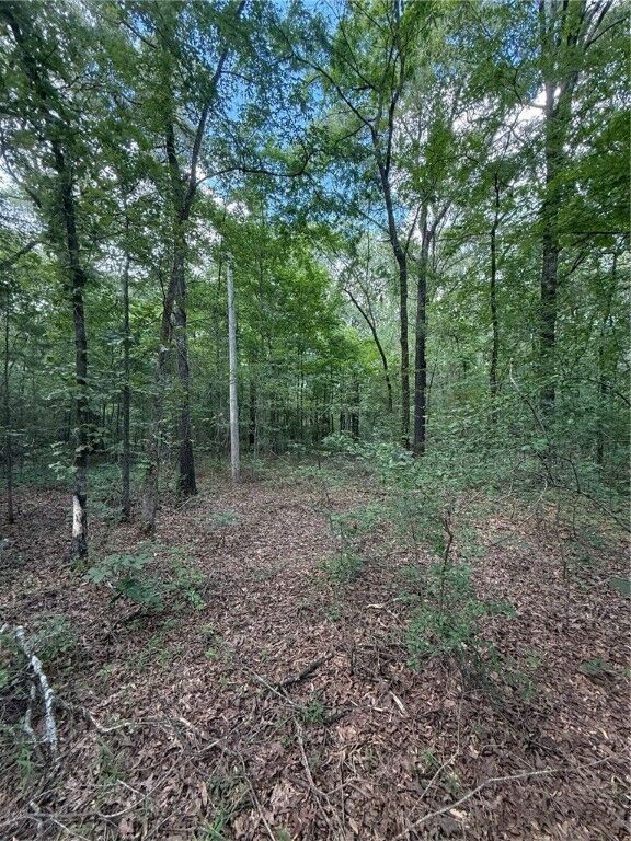 Property Photo: US Hwy 64 AR 72823