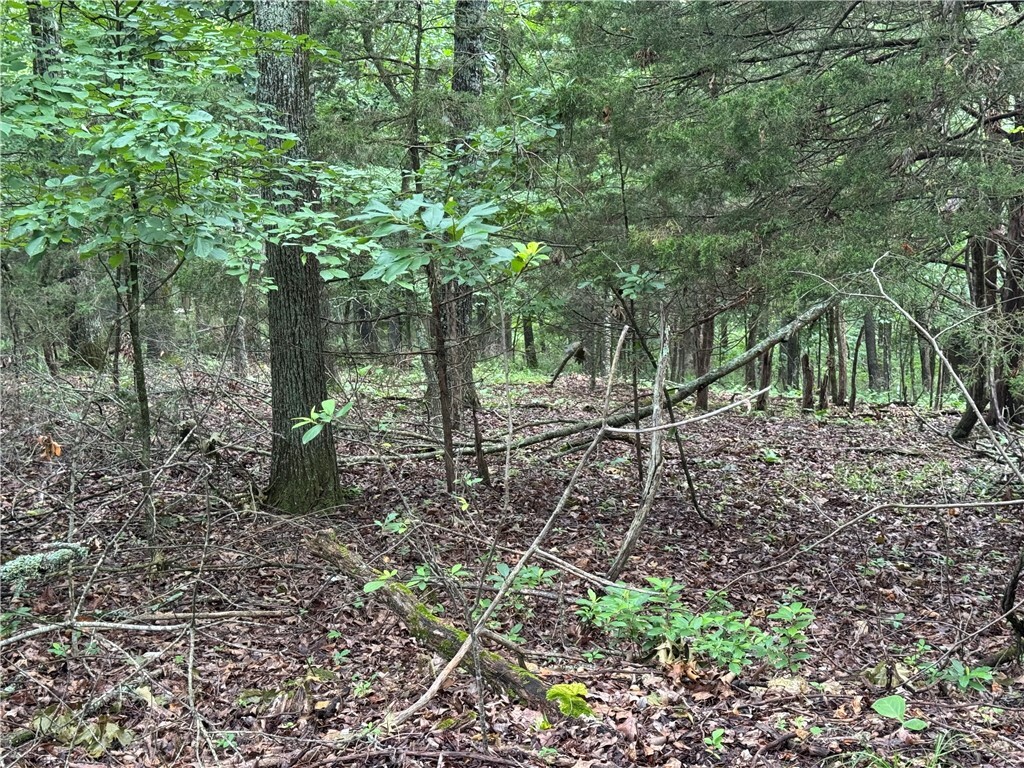 Property Photo: Lot 59 W Airport Drive AR 72732