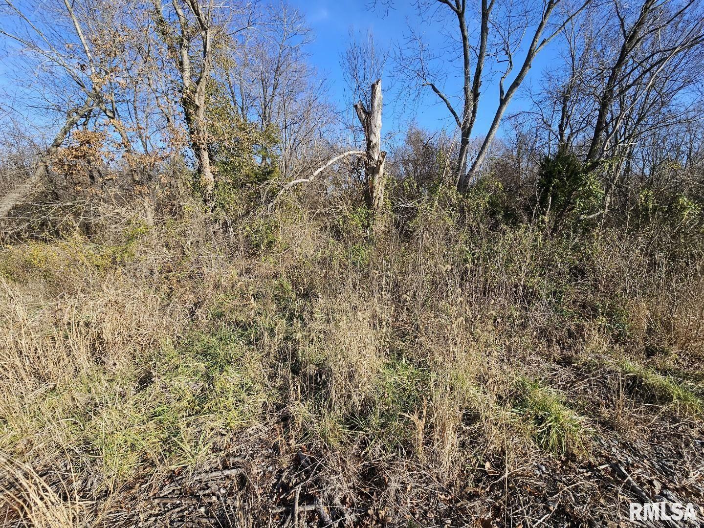 Property Photo: 0000 N Il Hwy 37 Highway IL 62816