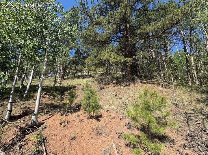 Property Photo:  281 Pikes Peak Drive  CO 80814 