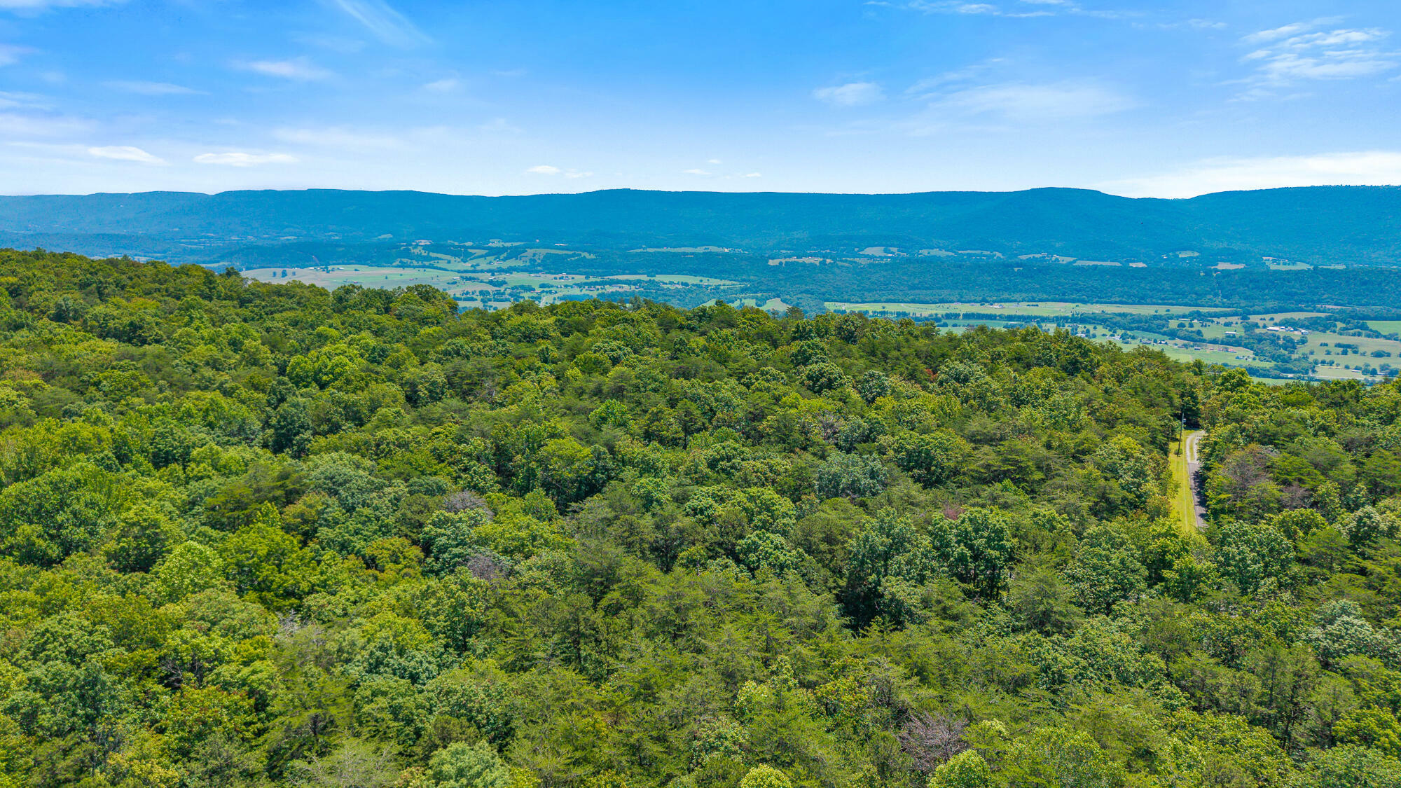 Property Photo: 41.04 Ac Windridge Drive TN 37327