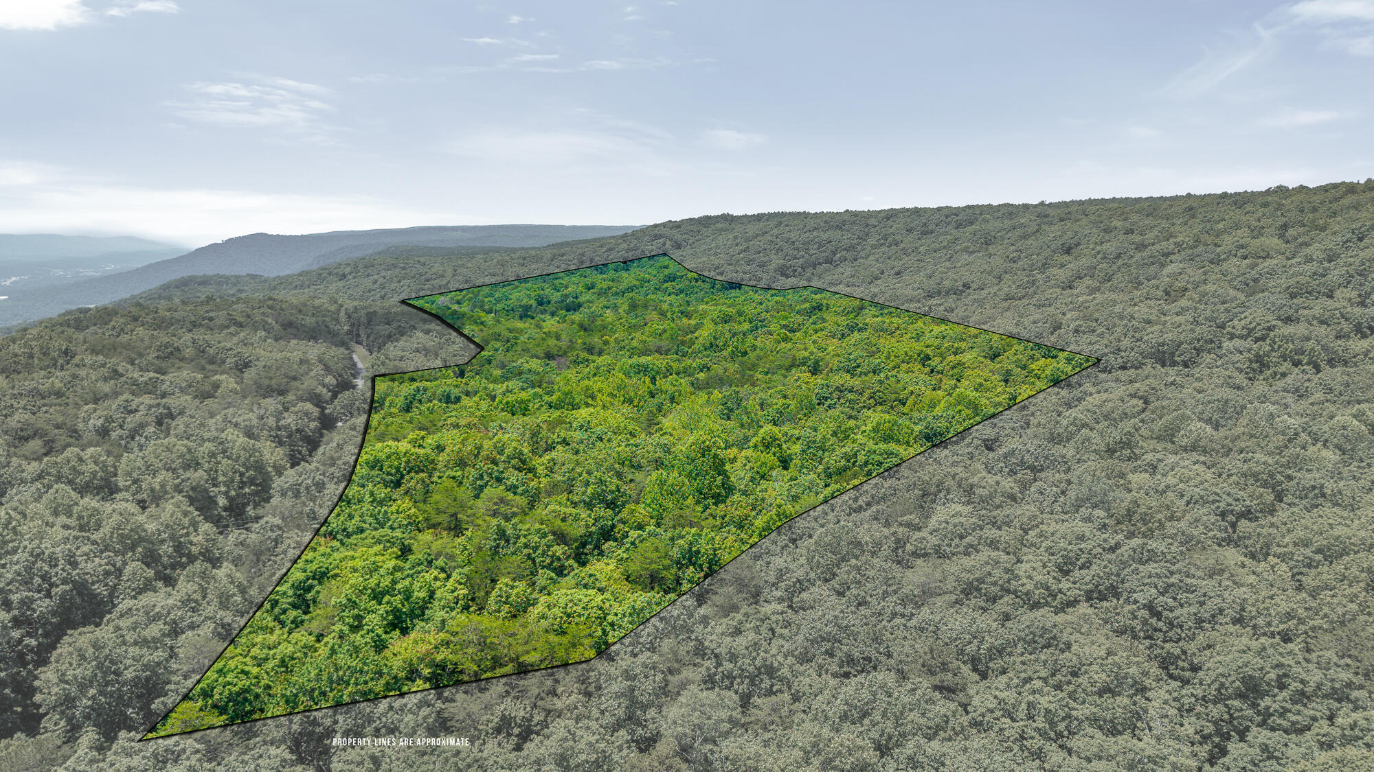 Property Photo: 41.04 Ac Windridge Drive TN 37327