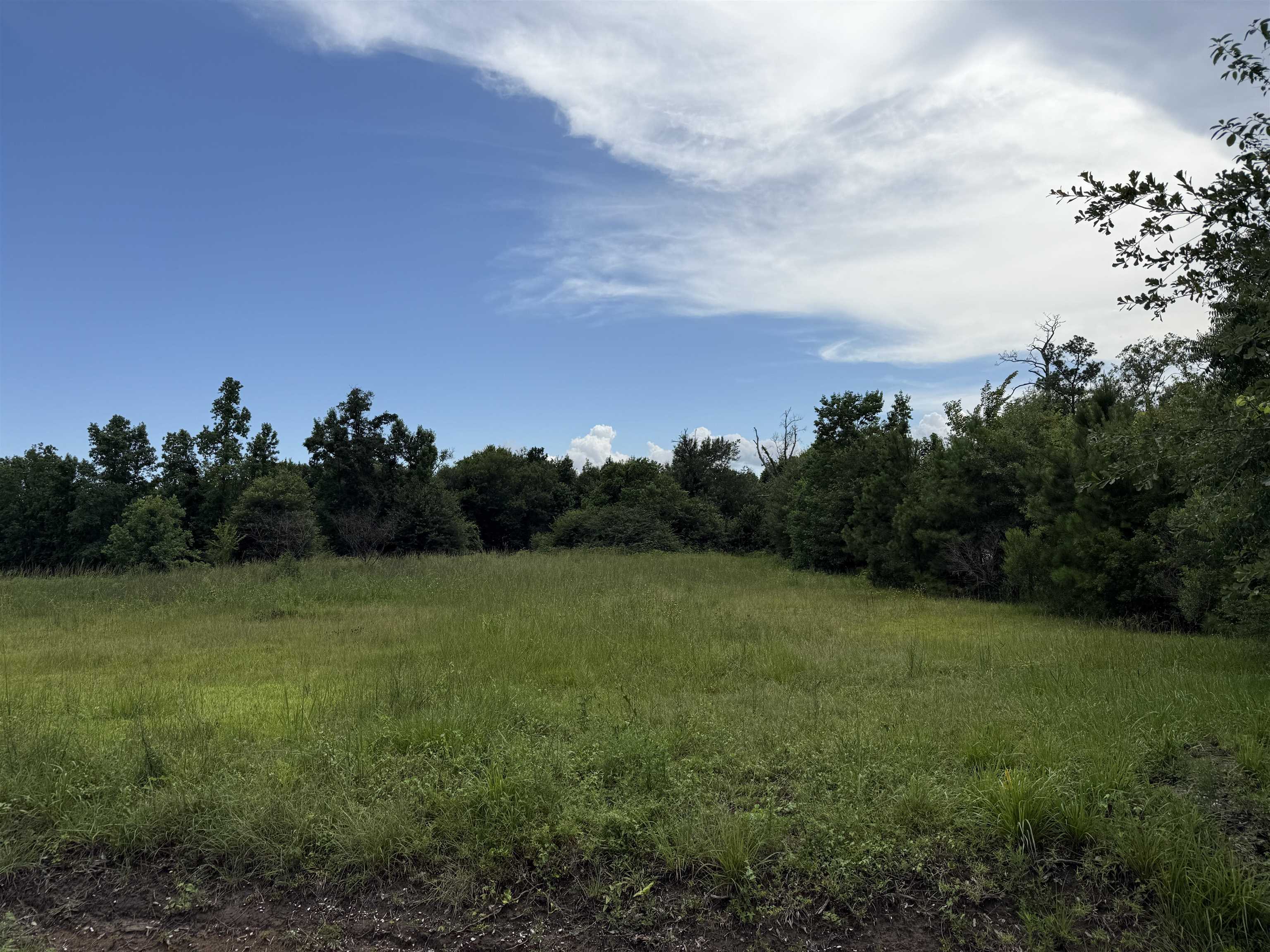 Property Photo:  8225 Tulane  TX 77630 