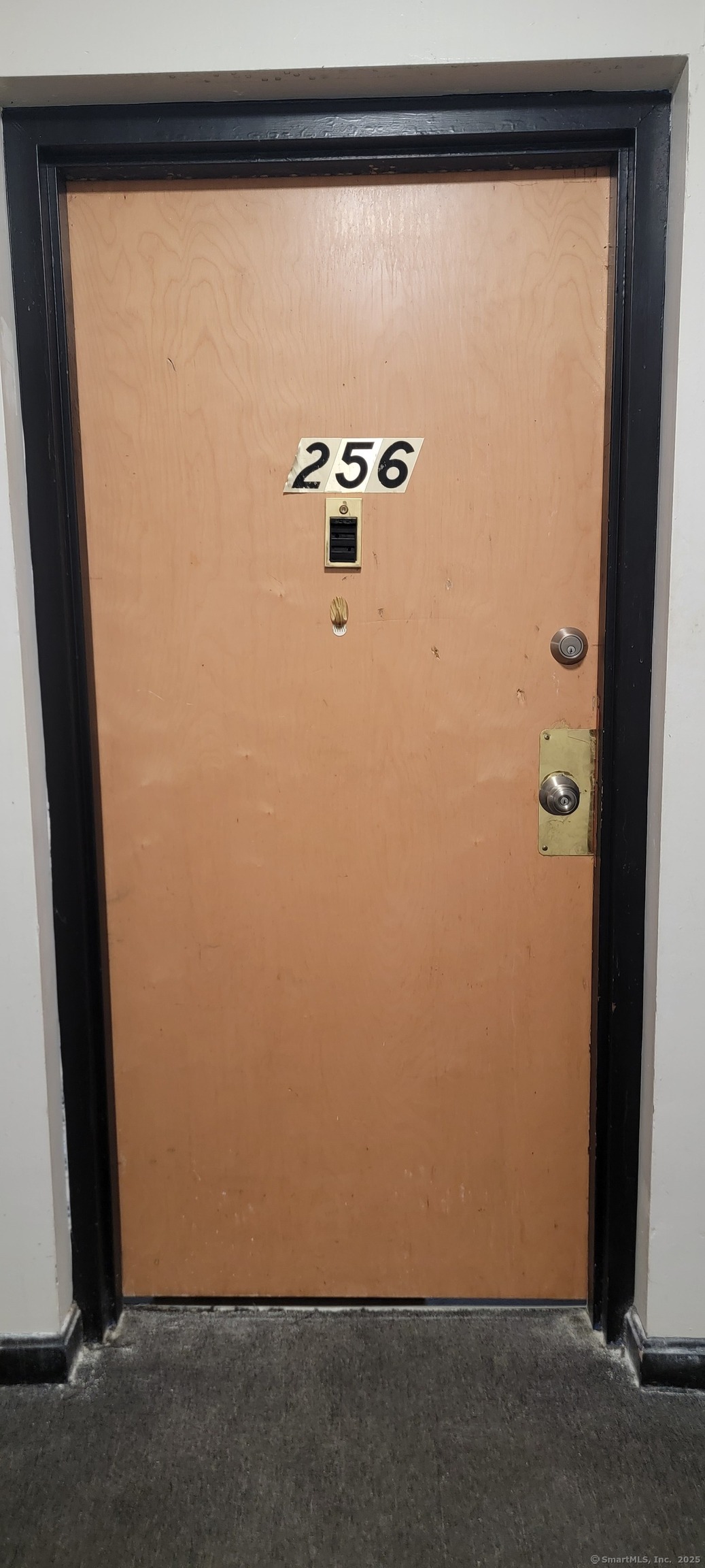 Property Photo:  79 Claudia Drive Apt 256  CT 06516 