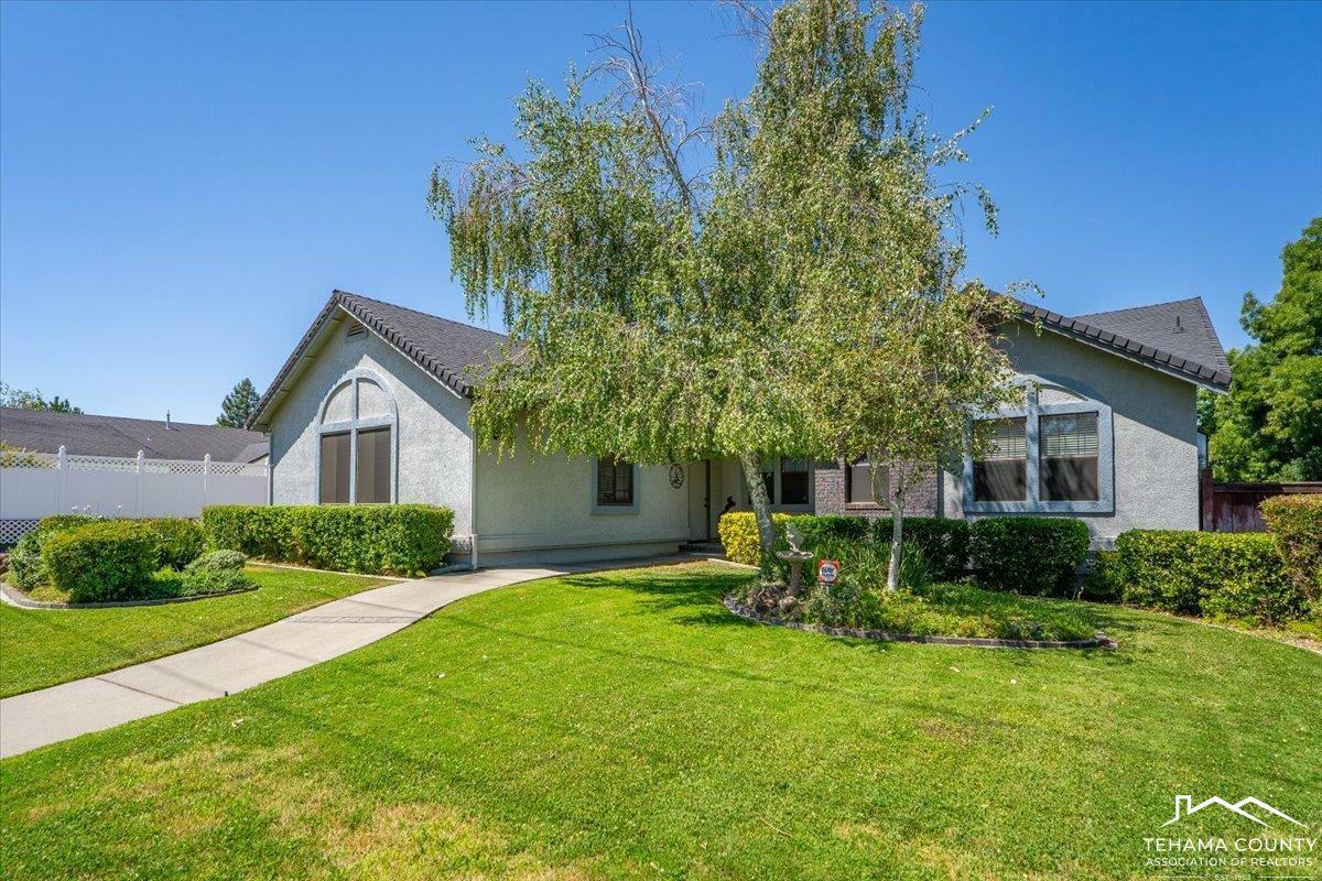 2725 Highland Bluffs Drive  Red Bluff CA 96080-0000 photo