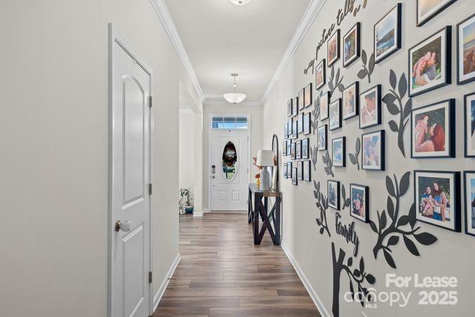 Property Photo: 19121 Hawk Haven Lane NC 28278