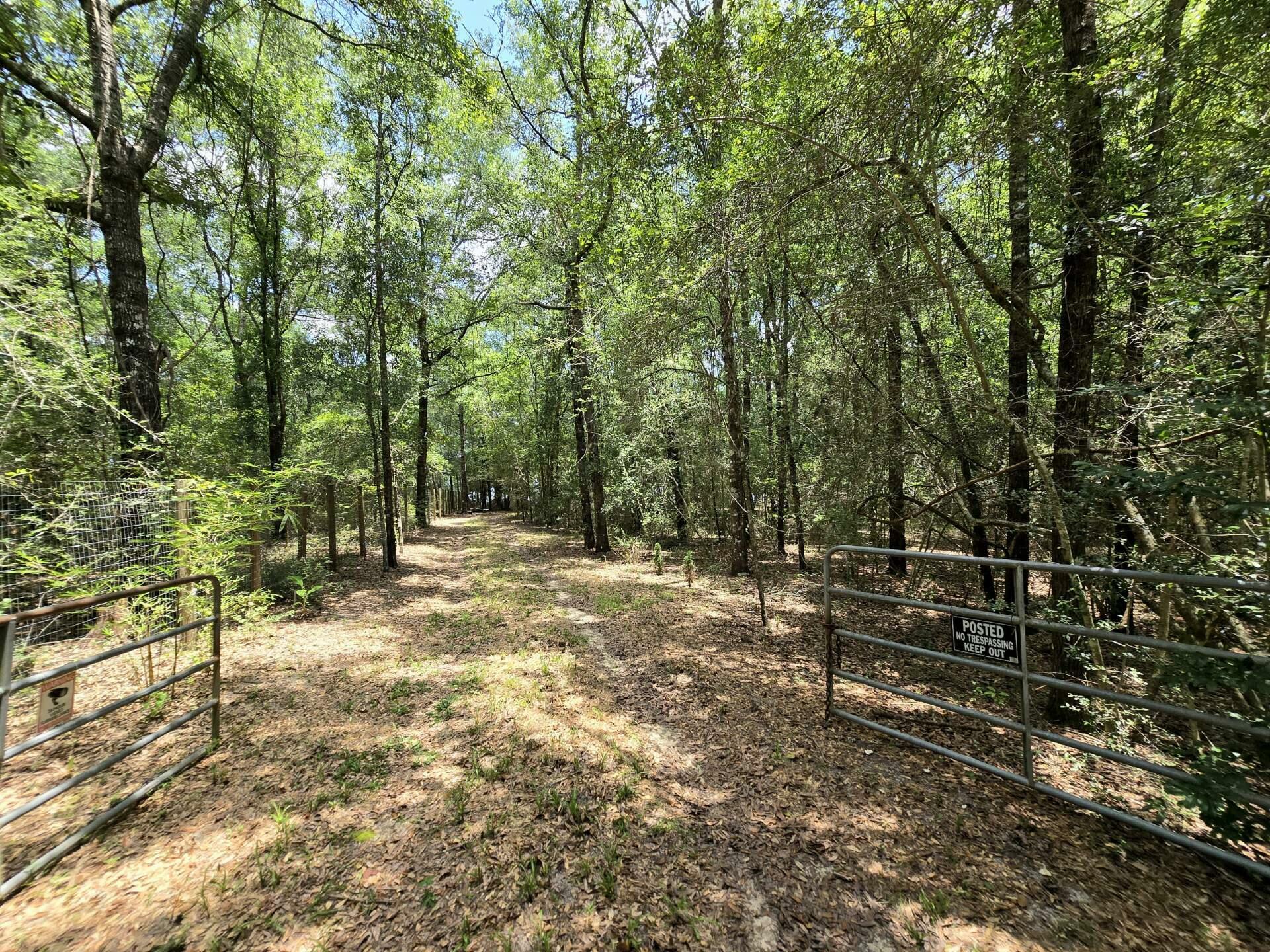 Property Photo:  335 Franck Drive  FL 32433 
