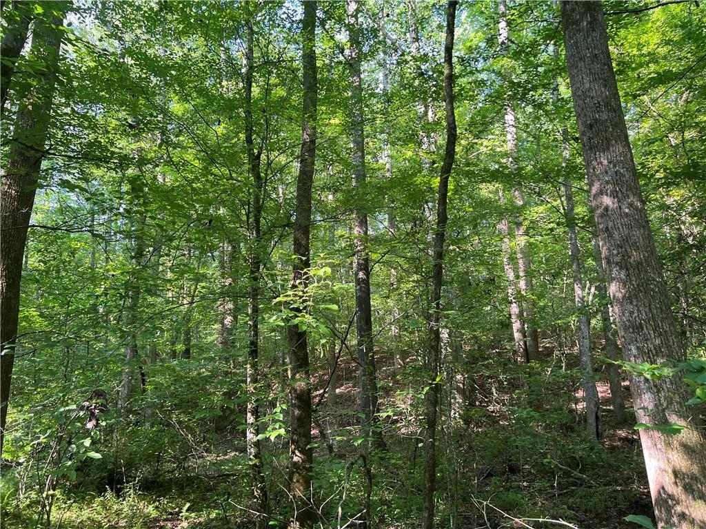 Property Photo: 0 Mac Garner Road GA 30179