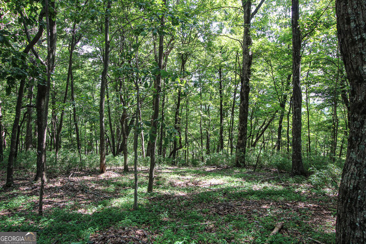 Property Photo:  8088 Ridgeview Drive  GA 30143 