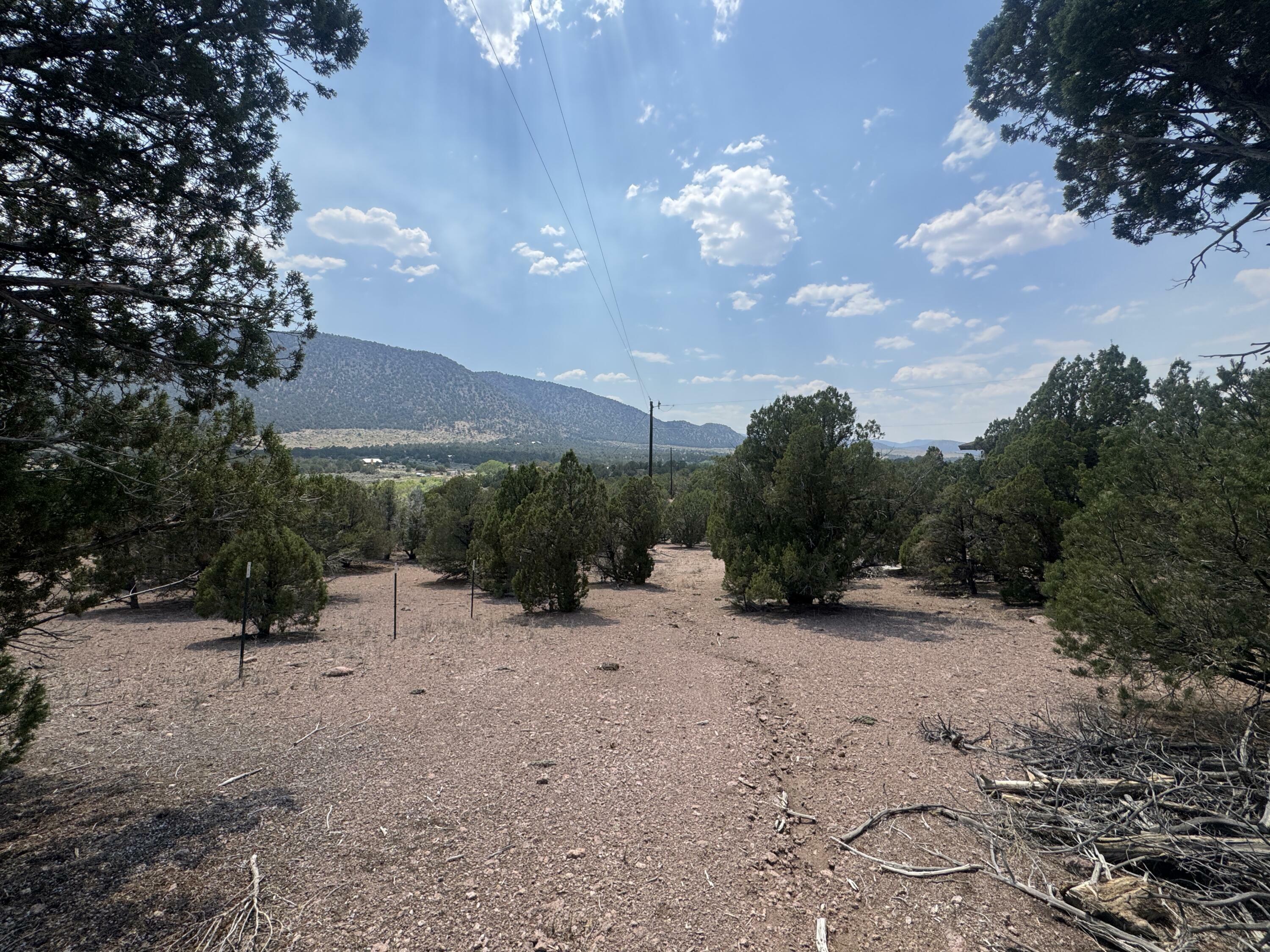 Property Photo:  4198 S Artifact Dr  UT 84720 