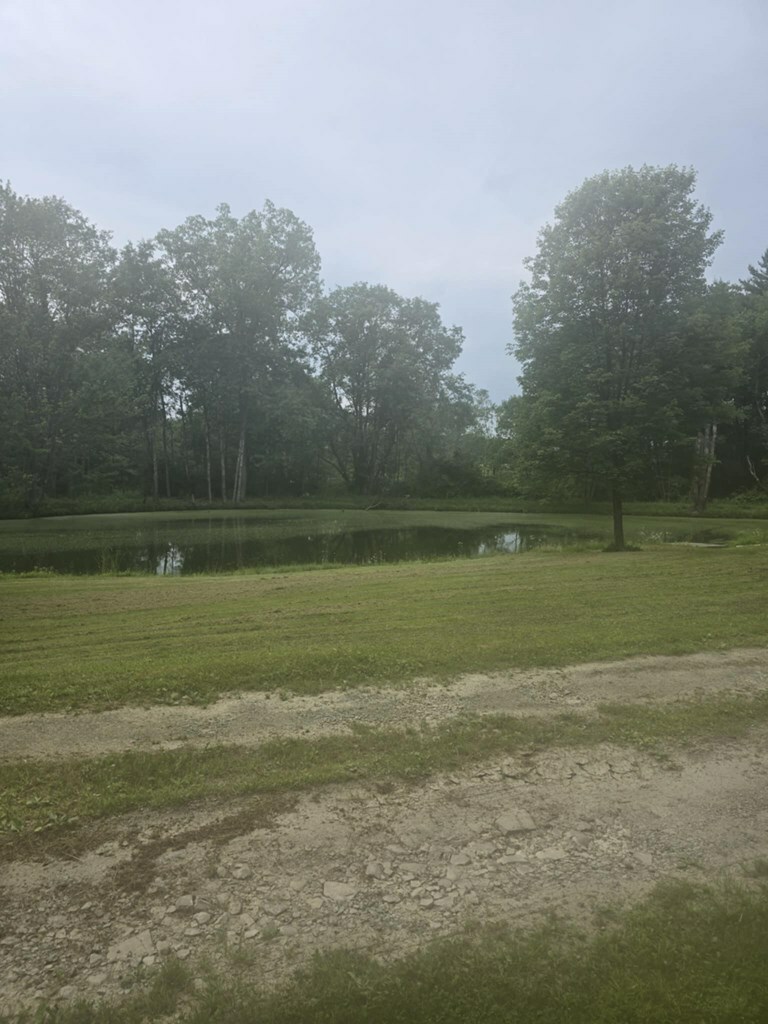 Property Photo: 338 Bentbrook Rd. NY 13734