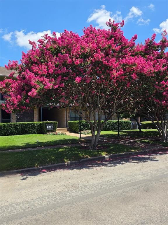 Property Photo: 4211 Newton Avenue 107 TX 75219