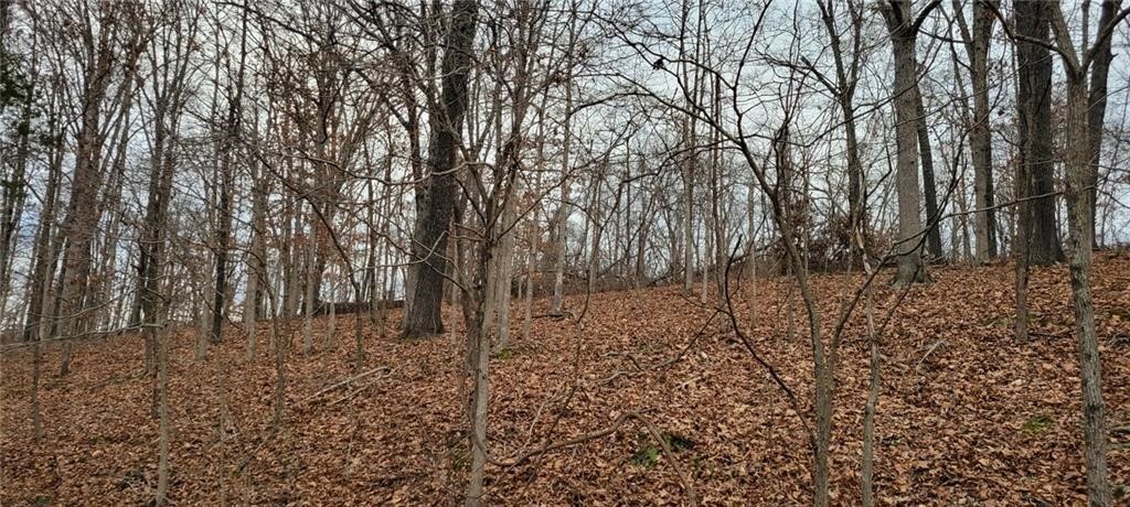 Property Photo:  Padbury Drive  AR 72715 
