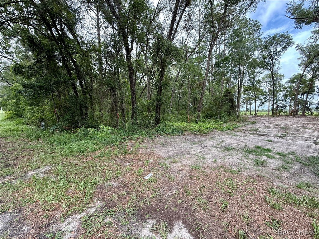 Property Photo: 3921 S Placid Avenue FL 34452
