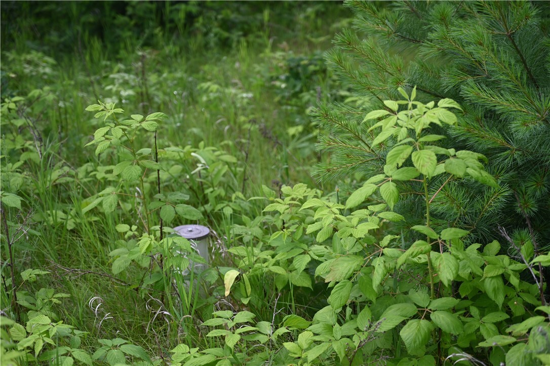 Property Photo: 8887 Fosberg Road WI 54872