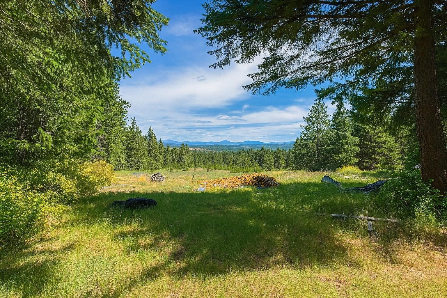 Property Photo: 8414 E Lodge Pole Ln WA 99003
